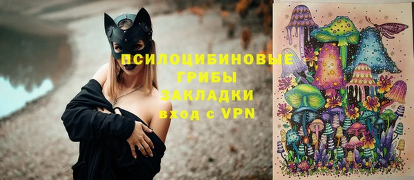 героин Алексин