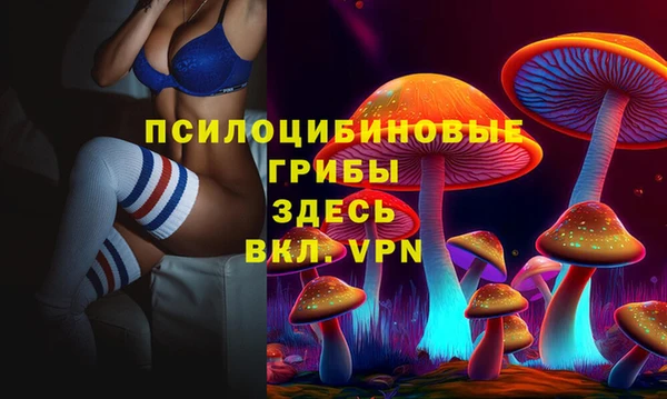 соль ск Алексеевка