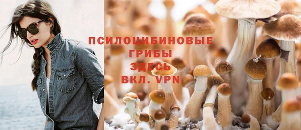 героин Алексин