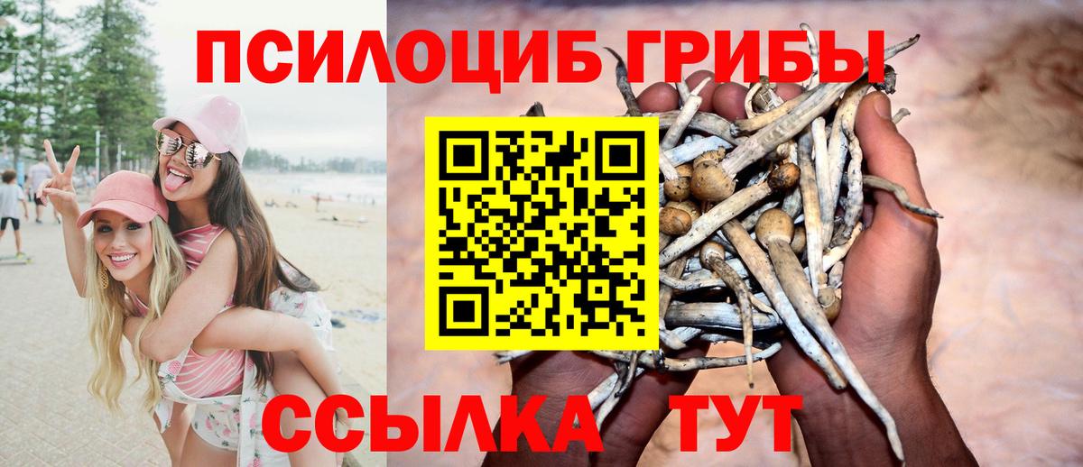 Амурск  как найти наркотики  Вход с VPN  Псилоцибиновые грибы мухоморы 